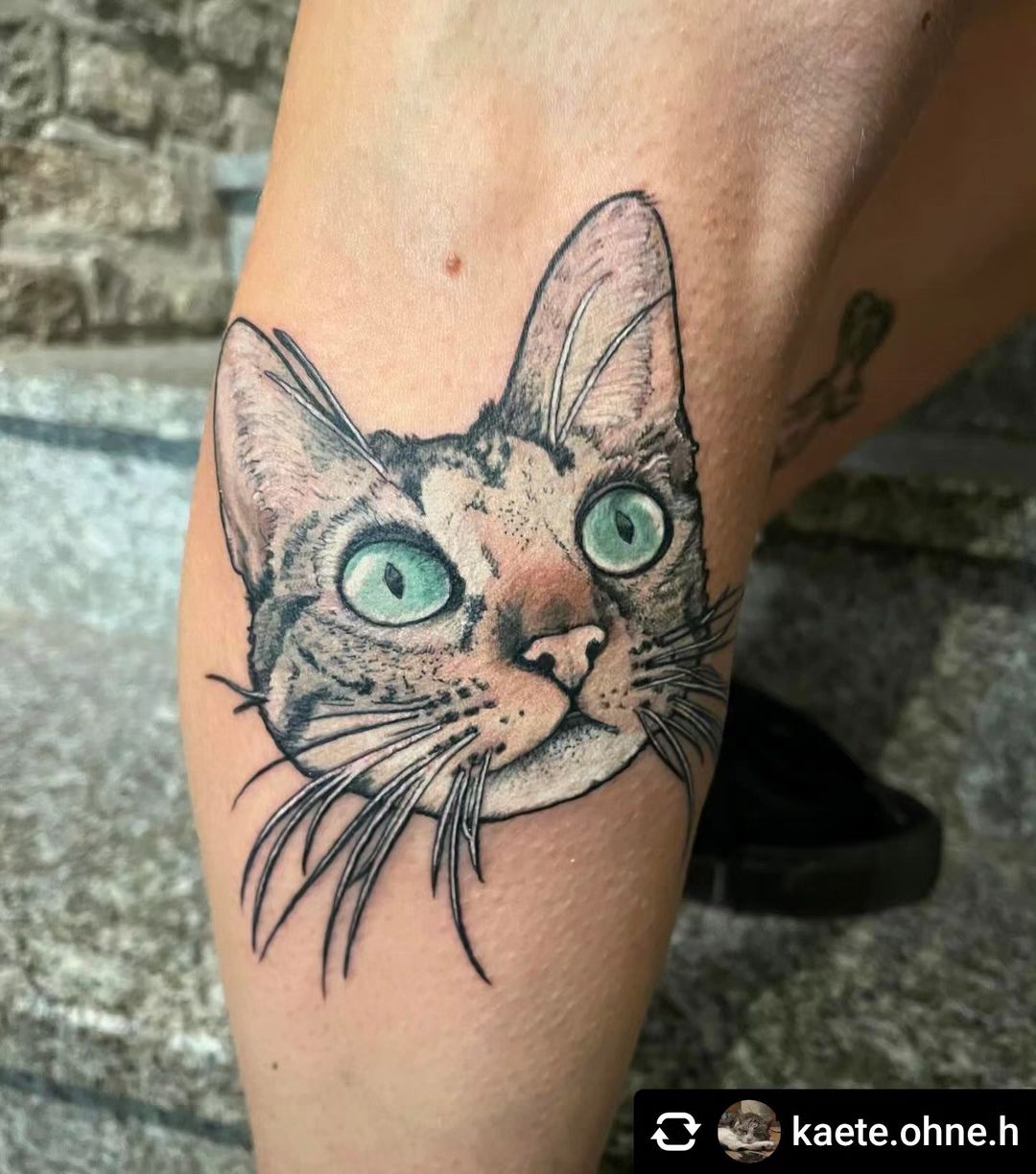 Kleine Katze von @kaete.ohne.h  Kleine Katze  
 •
 #inked #inkedgirls #ink #inks...