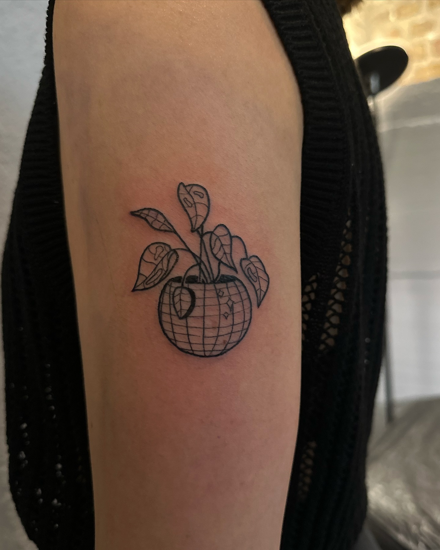 __
Thank you so much @vickyy.klk 

#tattoo #freywerk #planttattoo