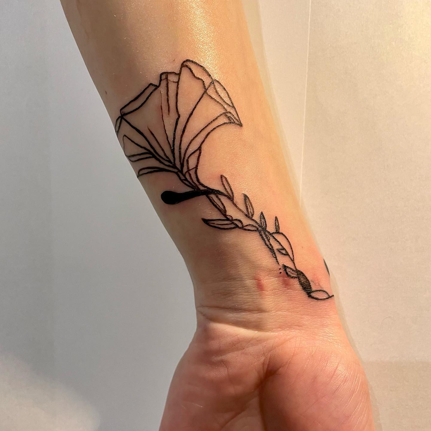 _flower_
#tattoo #flashtattoo #tattoos #tattooideas #smalltattoo #details #flowe