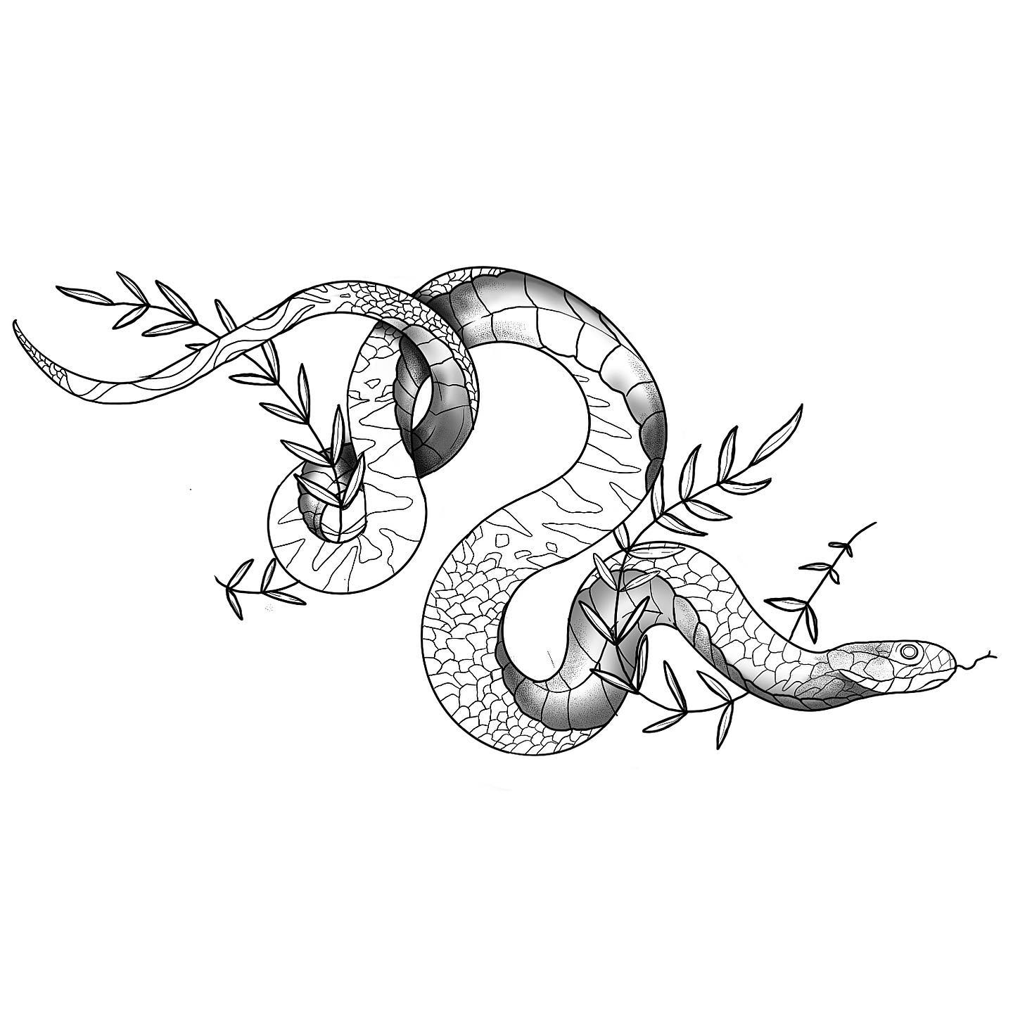 _snake_
•available•
#tattoo #tattoodrawing #illustration #tattooideas #tattooins