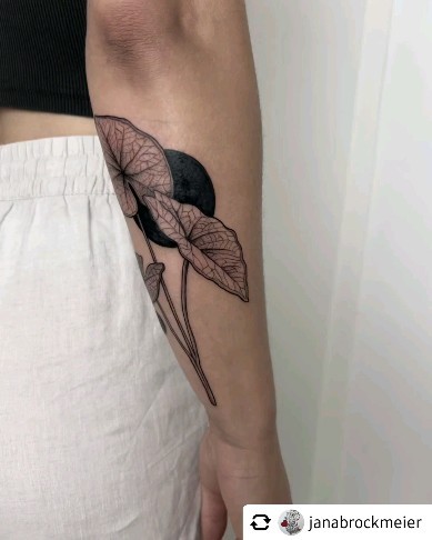 Tattoo von @janabrockmeier 

Leonie 

#blackwork #linework #darkartists #plantlo