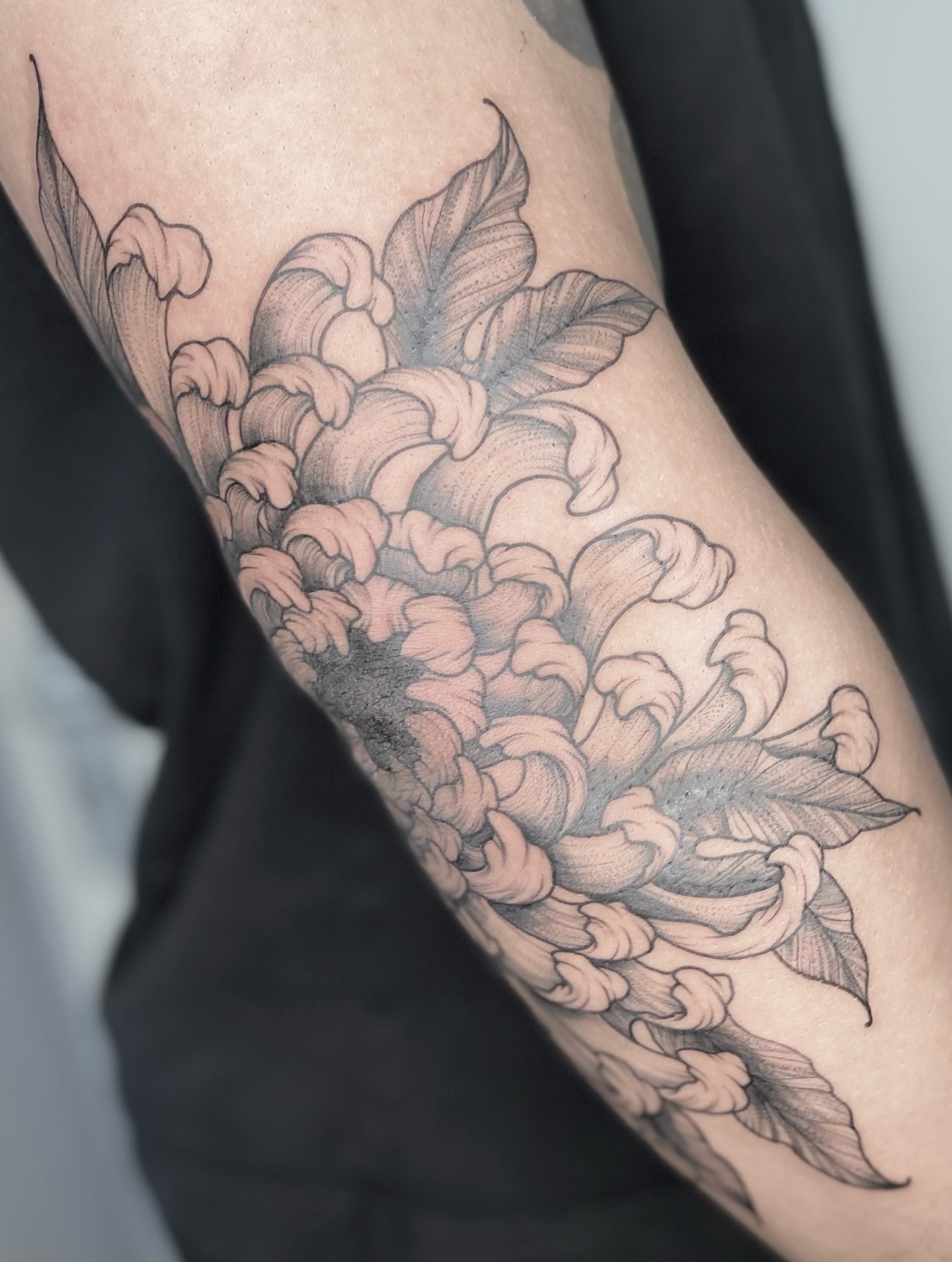 Freihand Chrysantheme für Malik. Danke für dein Vertrauen!
.
.
.
#tattoo #tattoo