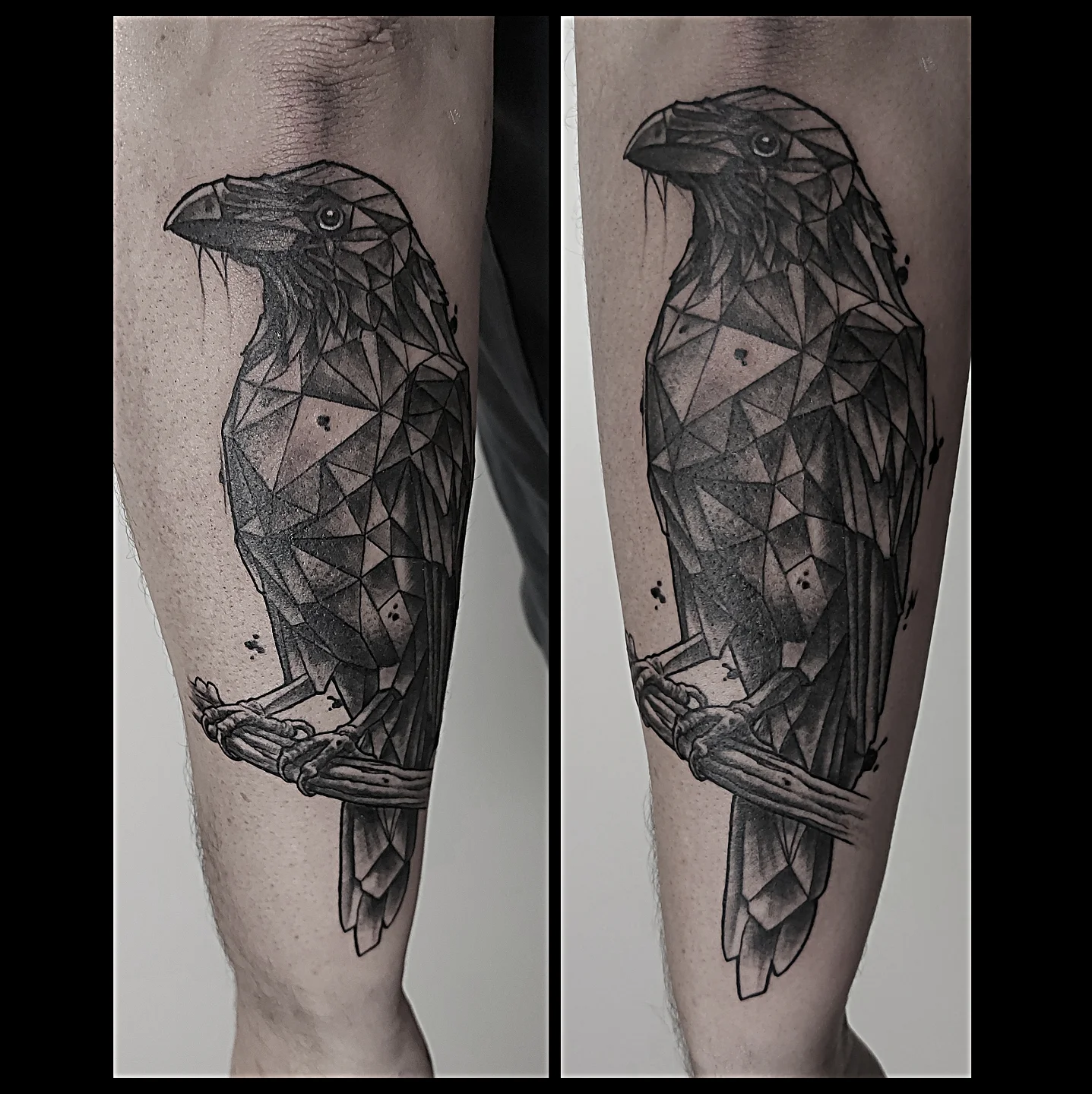 #freywerk #freywerktattoo #cologne #colognetattoo #köln #kölntattoo #raven #rave
