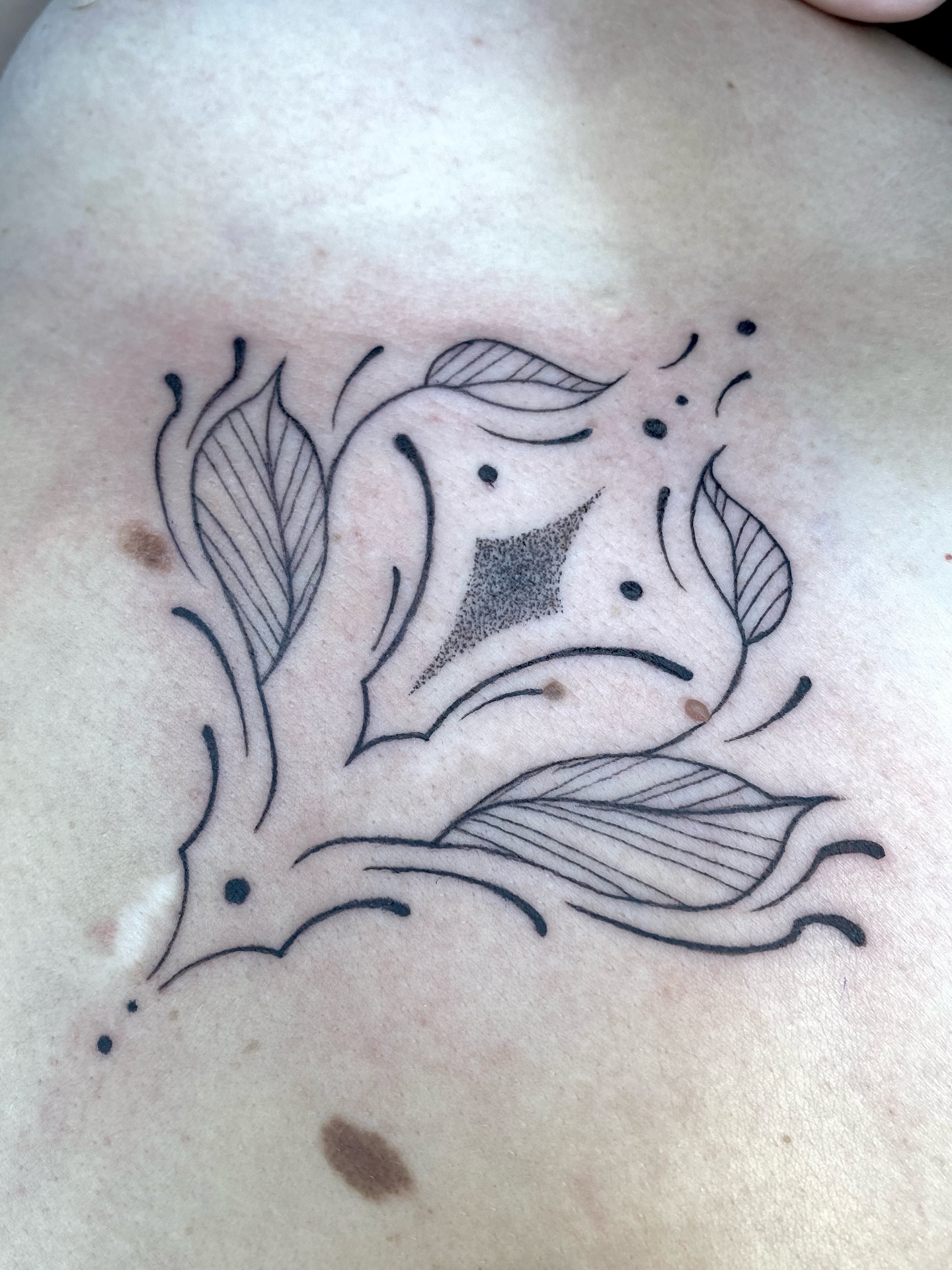 Für lovely Caro 
.
.
.
#tattoo #tattooart #tattoos #tattooartist #ink #tatuagem