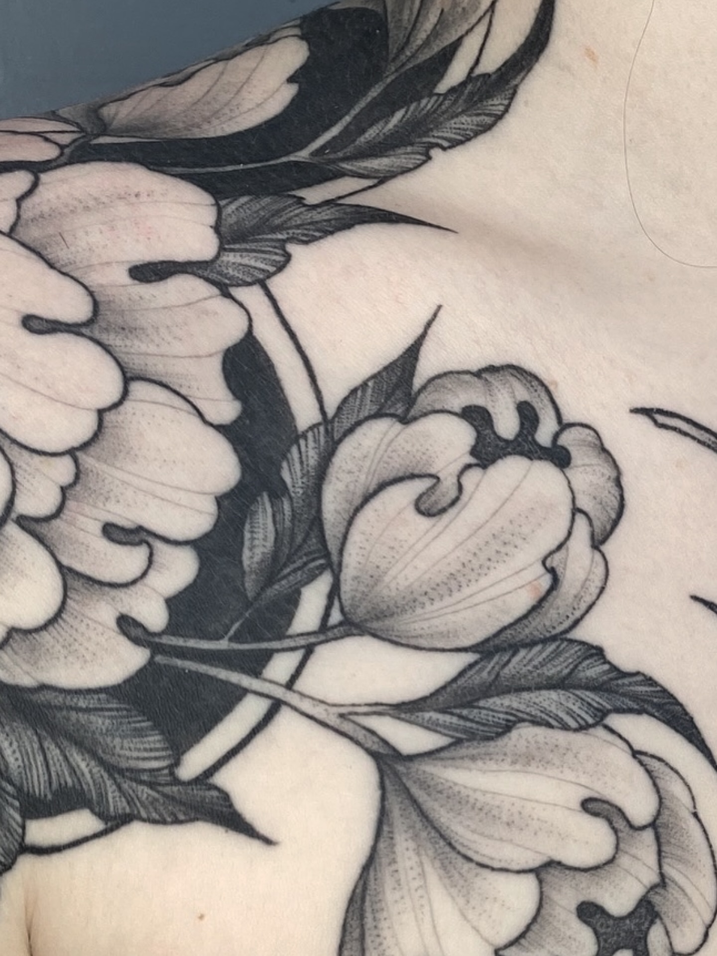 Verheilte Details
.
.
.
#tattoo #inked #neotraditional #ink #neotradeu #tattoodo