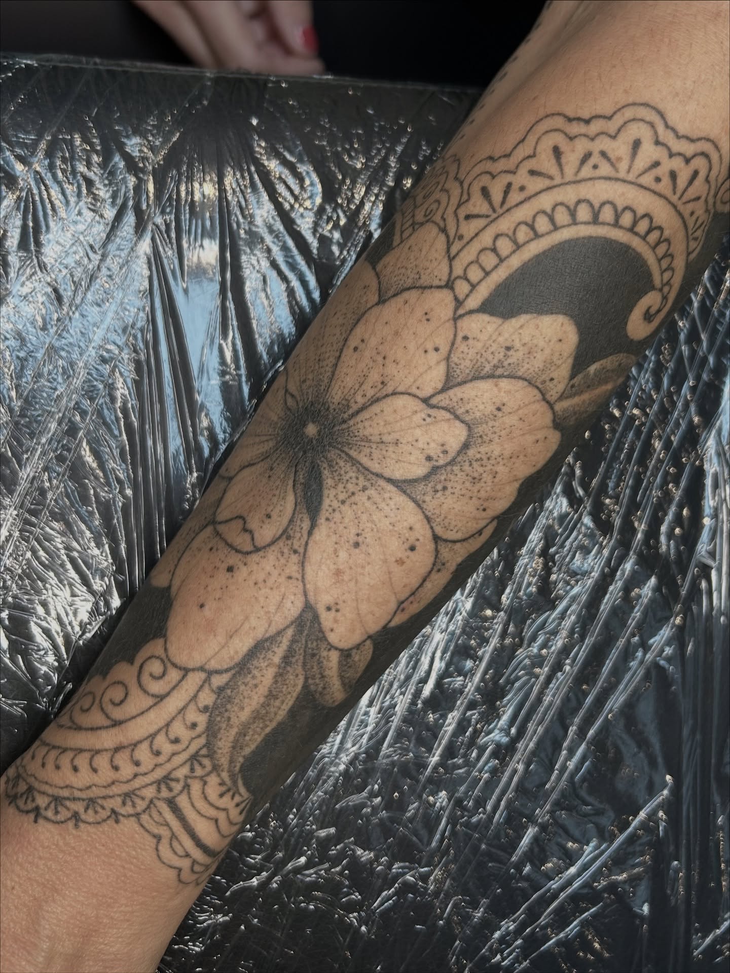 Verheilt 
.
.
.
#tattoo #ornamentaltattoos #colognetattooartist #germantattooers
