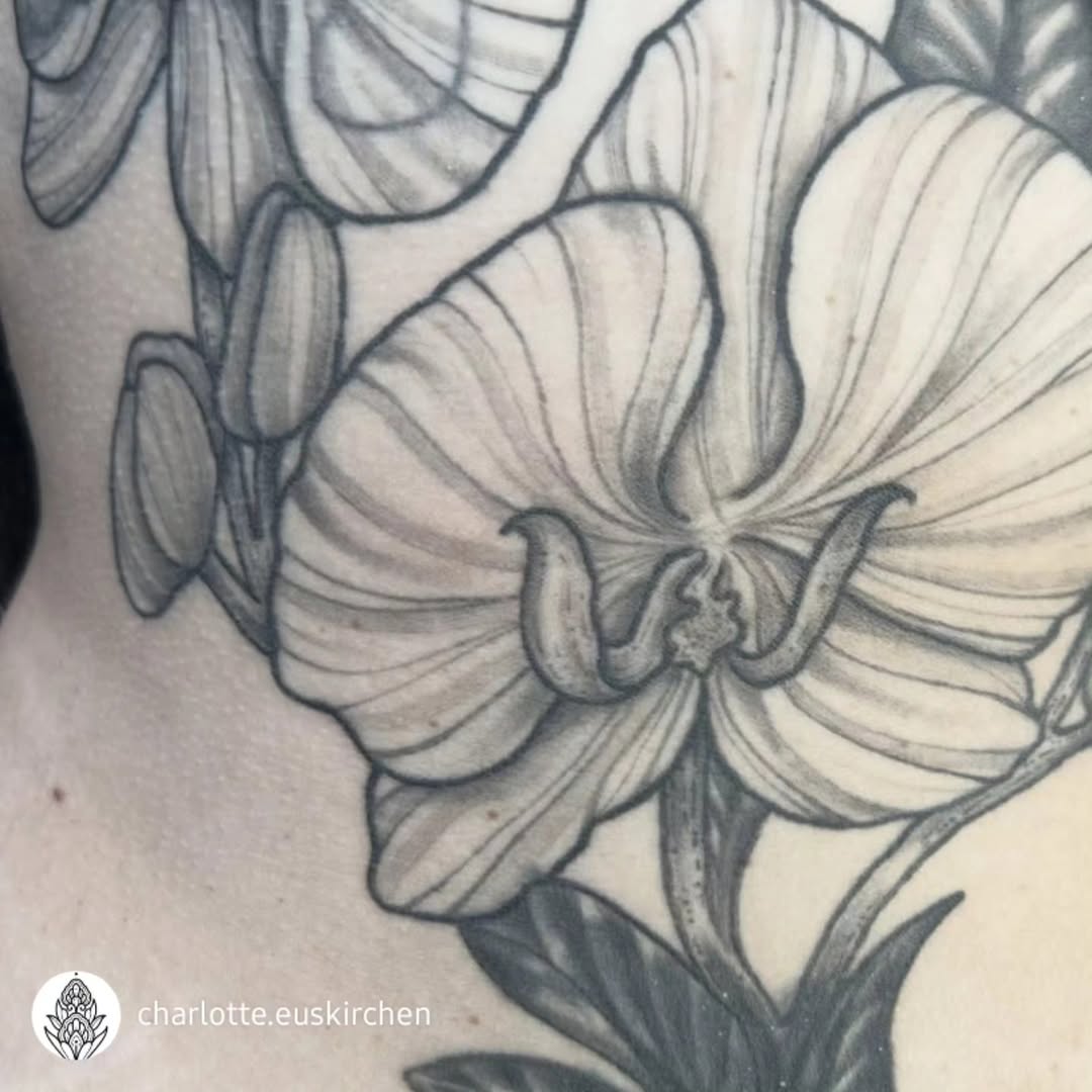 Verheilte Details von @charlotte.euskirchen ♡