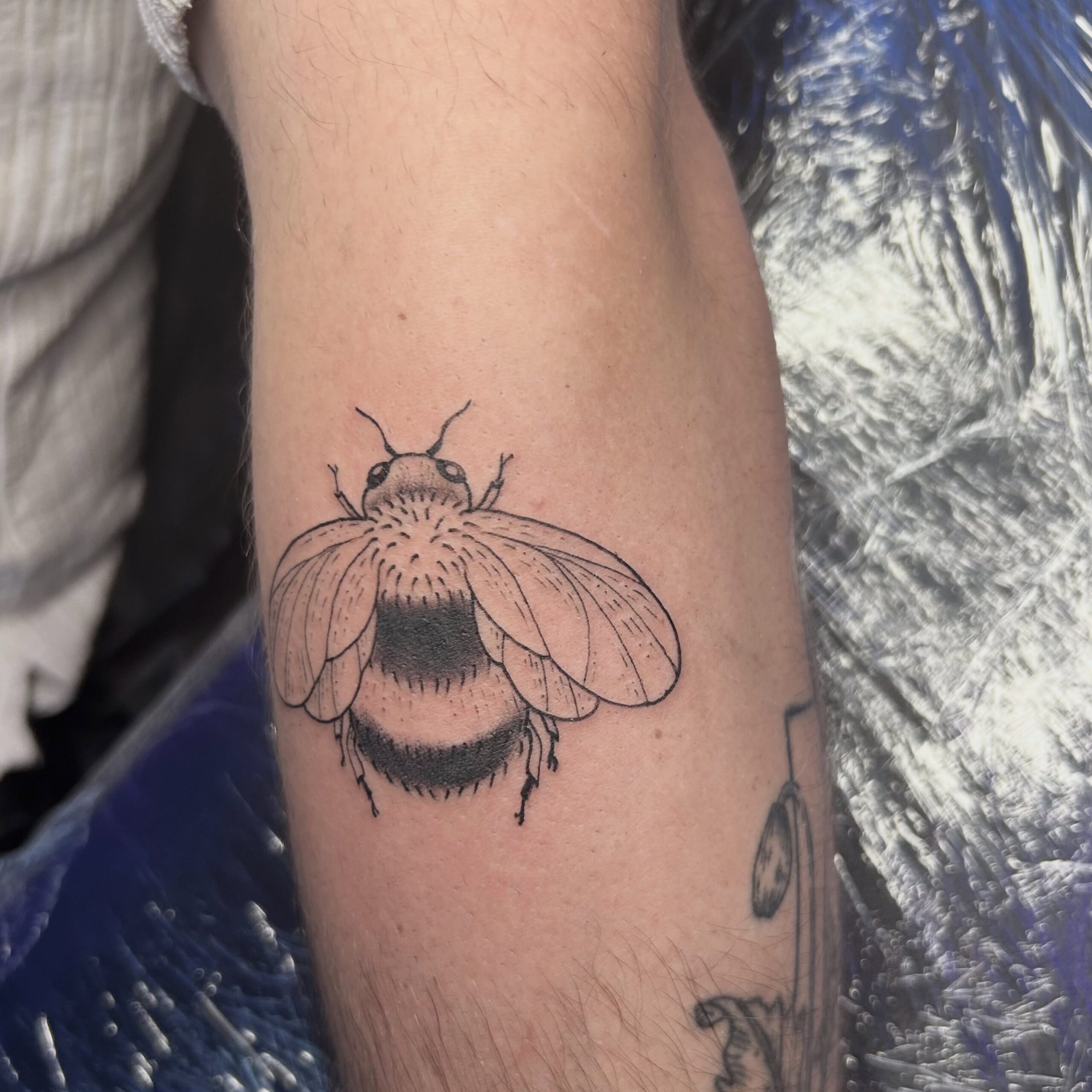 Brumm 
.
.
.
#tattoo #blacktattoo #colognetattooartist