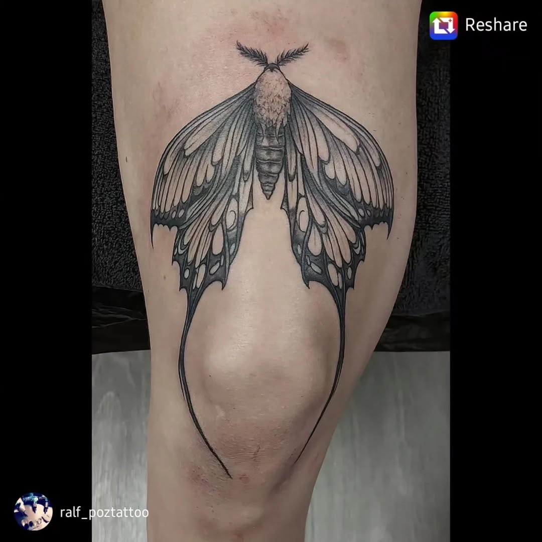 Motte von Ralf Pozar 
Dankeschön @luzie_roxi ♡